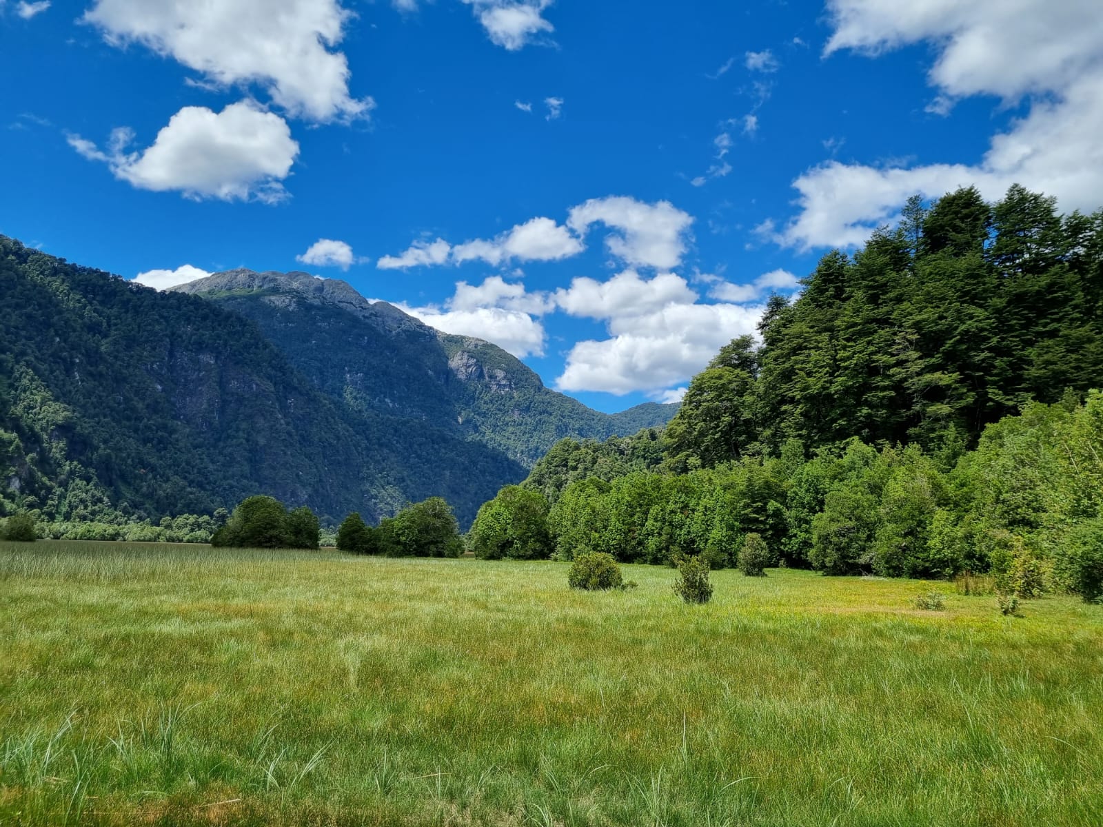 Campo en venta en Cochamó — foto 3