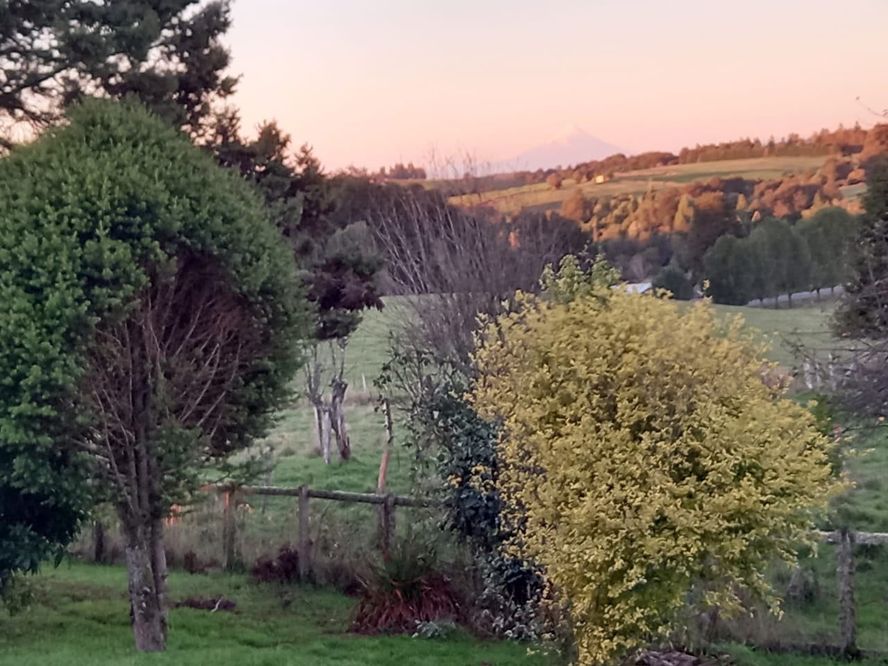Campo en venta en Los Muermos — foto 2