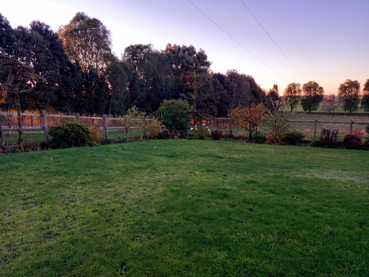 Campo en venta en Los Muermos — foto 4