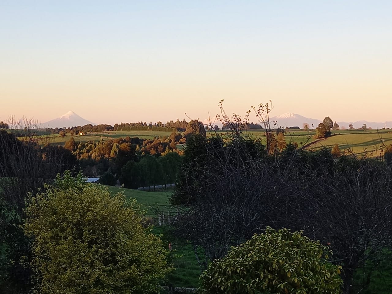 Campo en venta en Los Muermos — foto 5