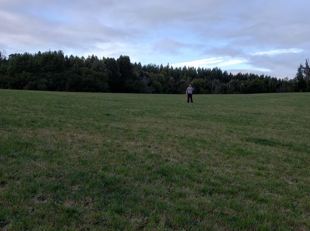 Campo en venta en Los Muermos — foto 6