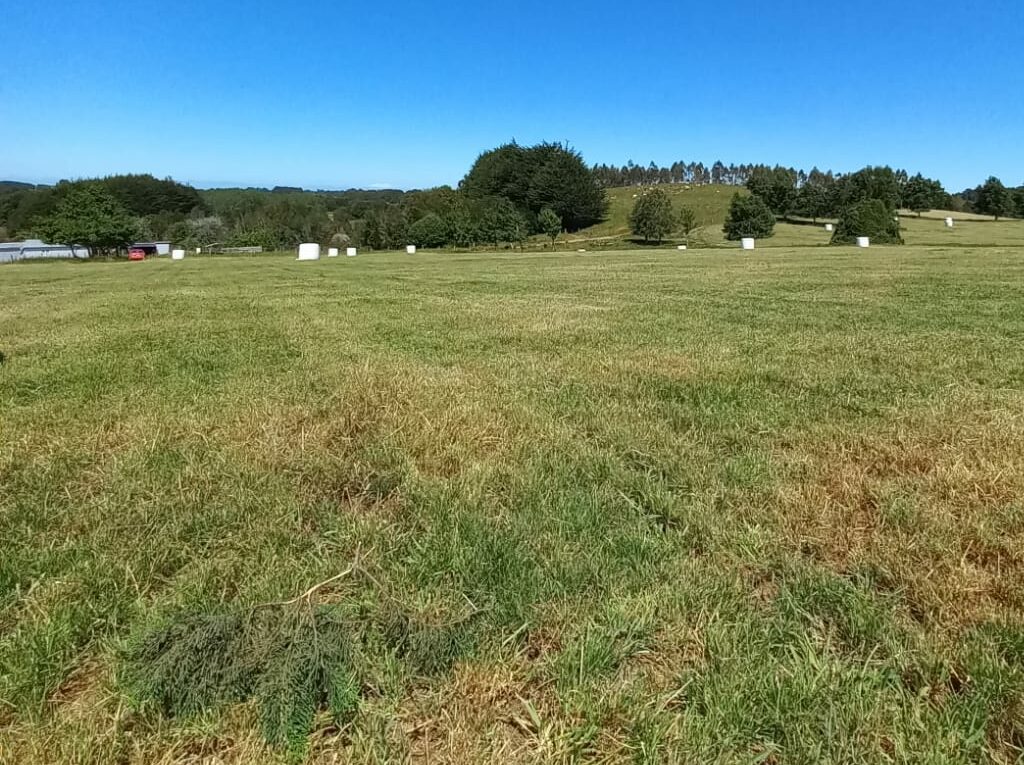 Campo en venta en Los Muermos — foto 9