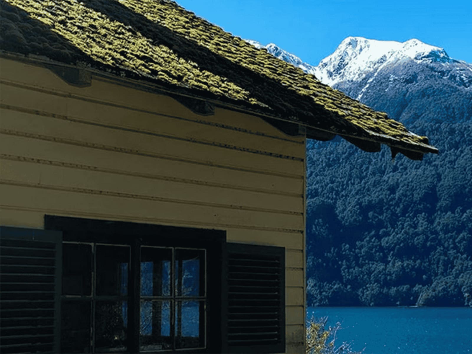 Campo en venta en Puerto Varas — foto 3