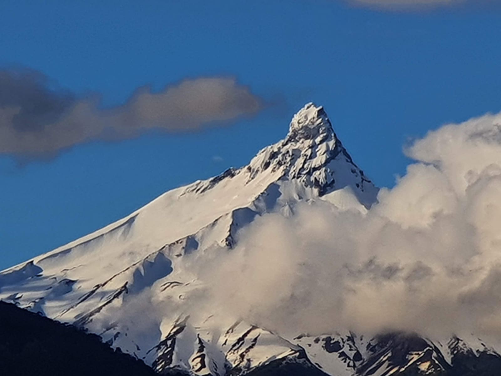 Campo en venta en Puerto Varas — foto 4
