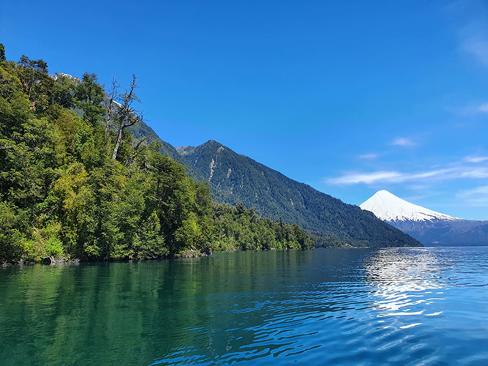 Campo en venta en Puerto Varas — foto 5