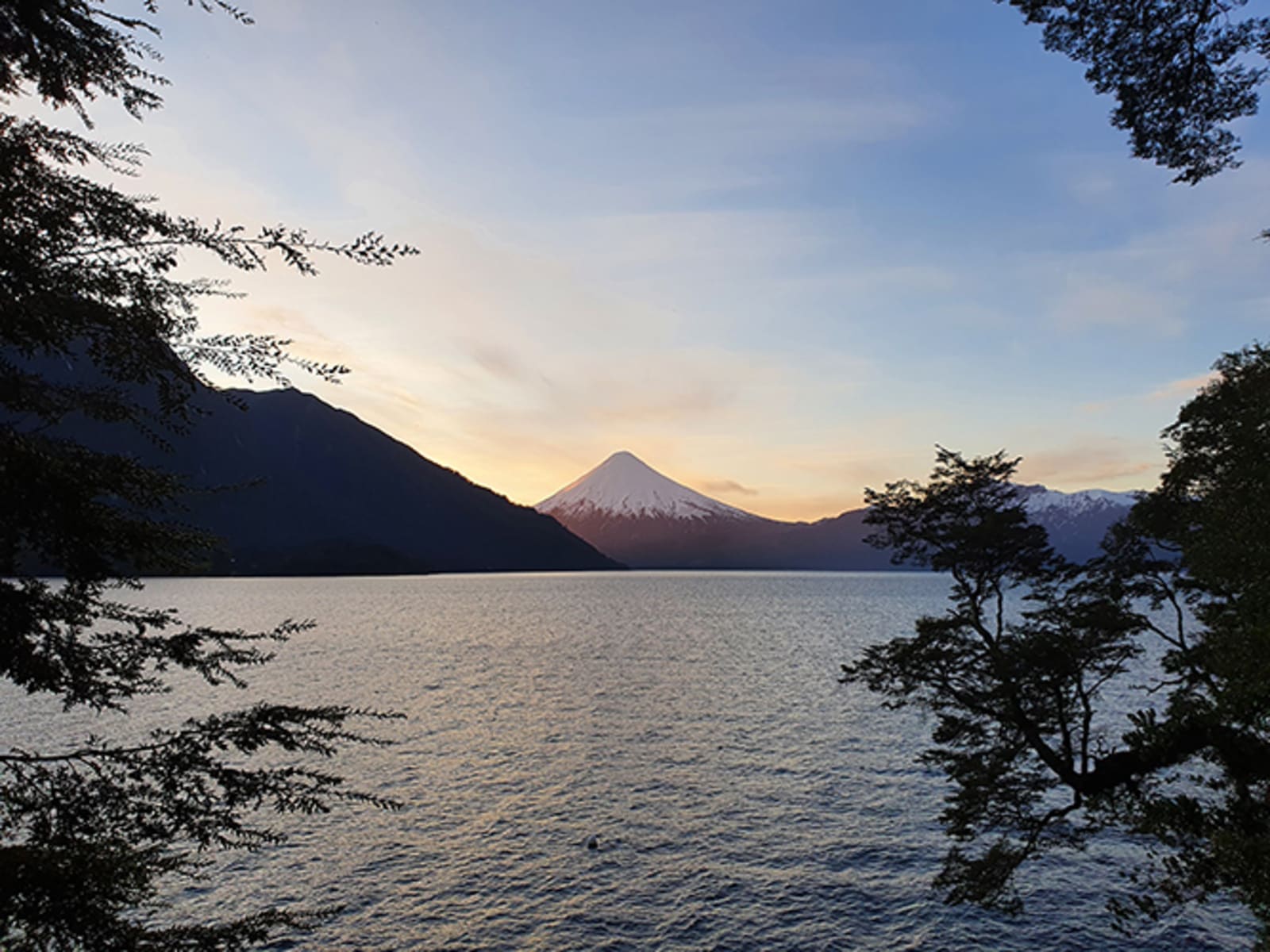 Campo en venta en Puerto Varas — foto 6