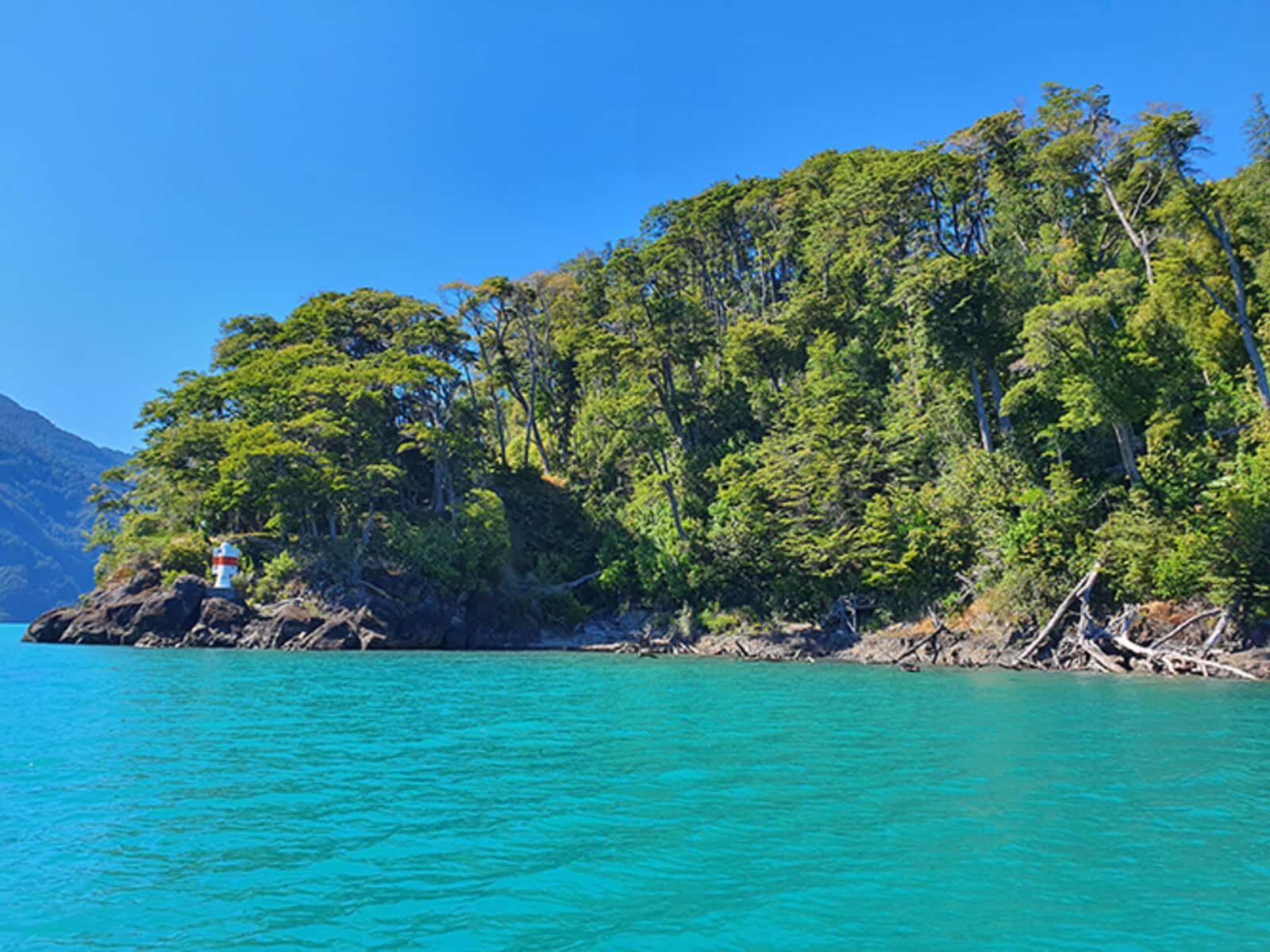 Campo en venta en Puerto Varas — foto 8