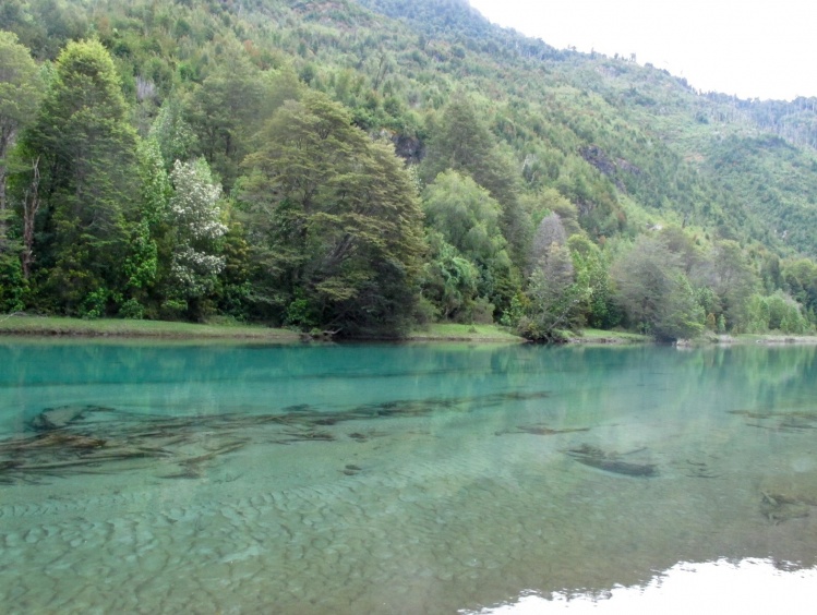 Campo en venta en Cochamó — foto 1
