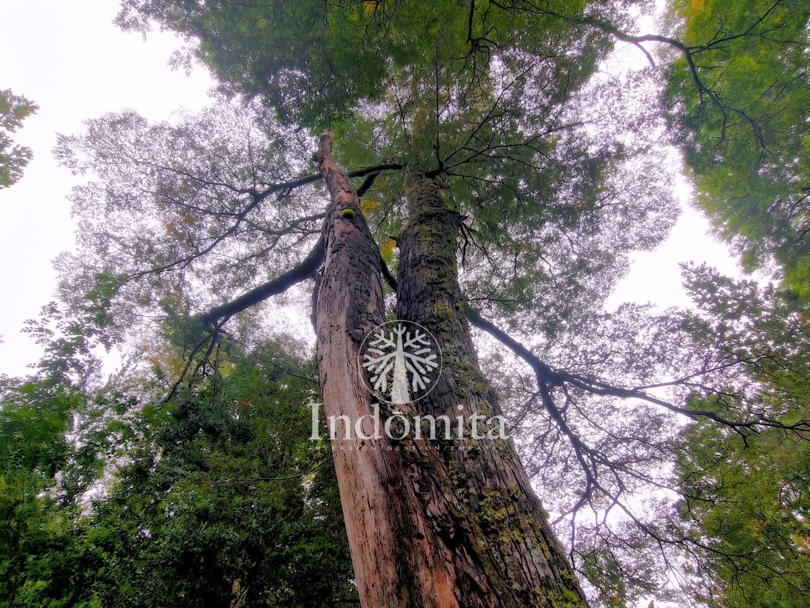 Campo en venta en Futaleufú — foto 3