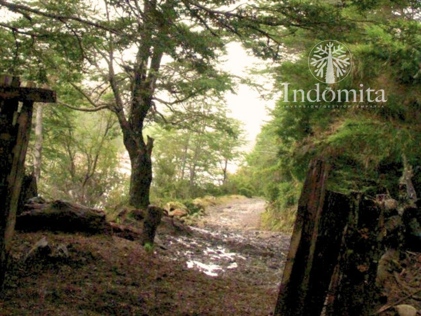 Campo en venta en Futaleufú — foto 4