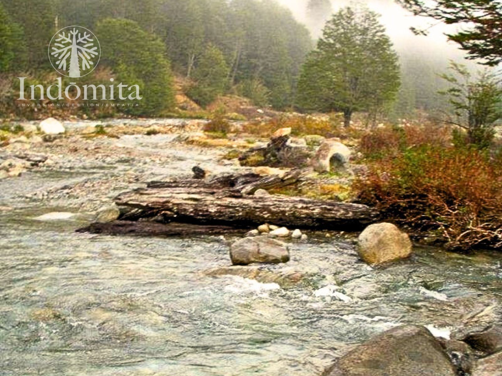 Campo en venta en Futaleufú — foto 6