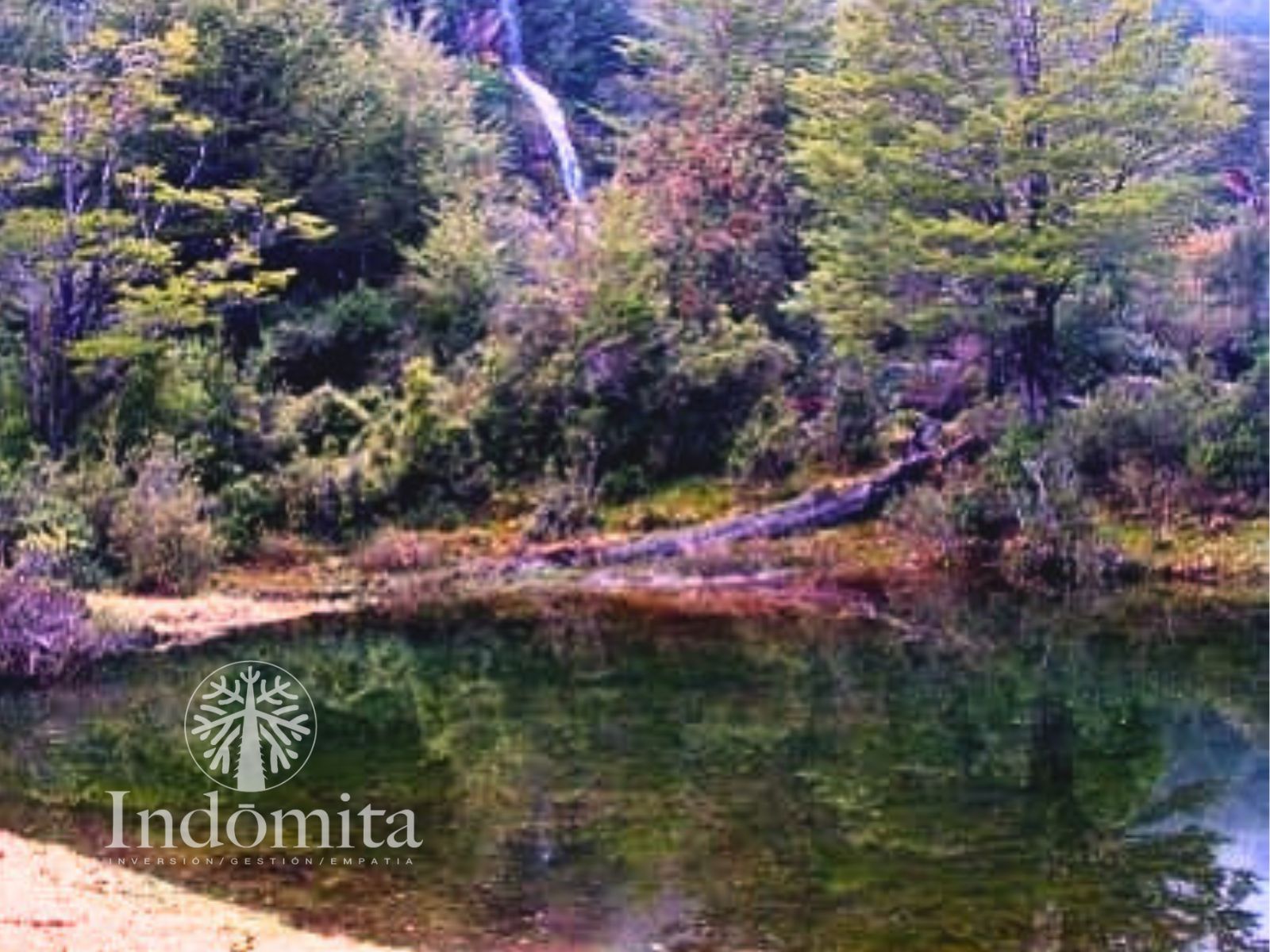 Campo en venta en Futaleufú — foto 8