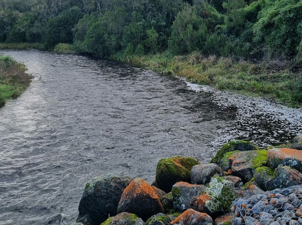 Campo en venta en Llanquihue — foto 1