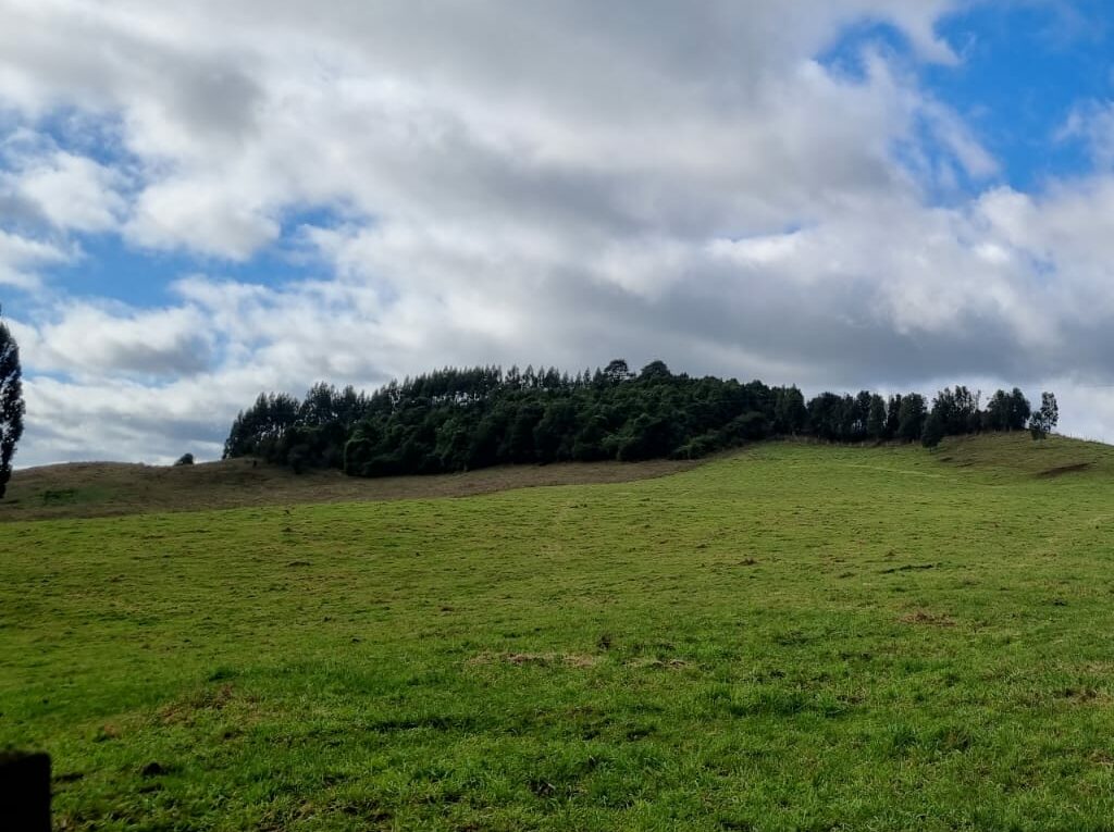 Campo en venta en Llanquihue — foto 5