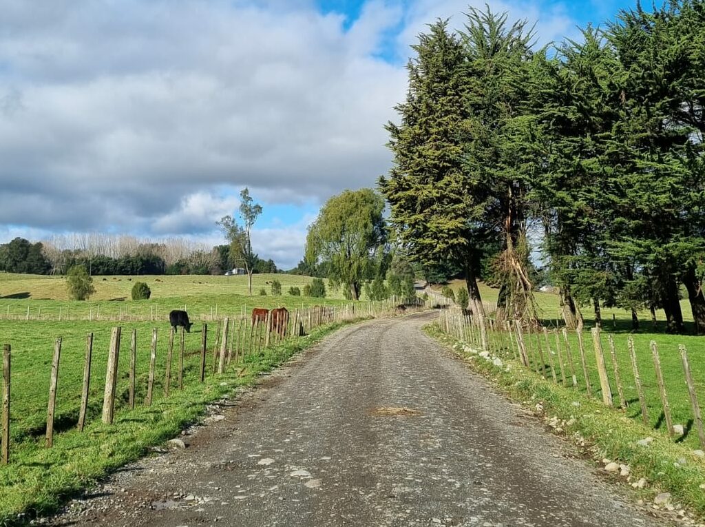 Campo en venta en Llanquihue — foto 8