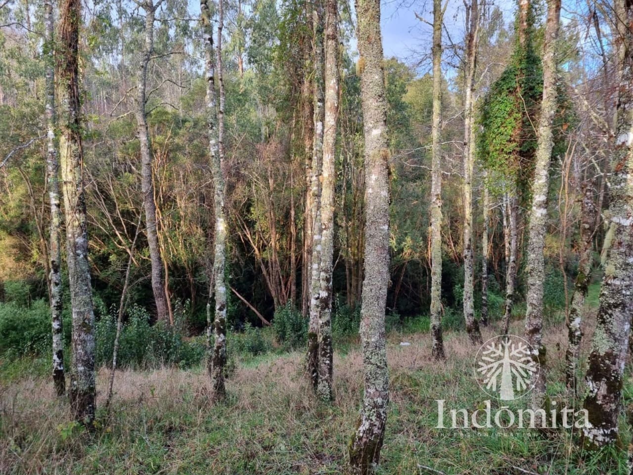 Parcela en venta en Río Negro — foto 9