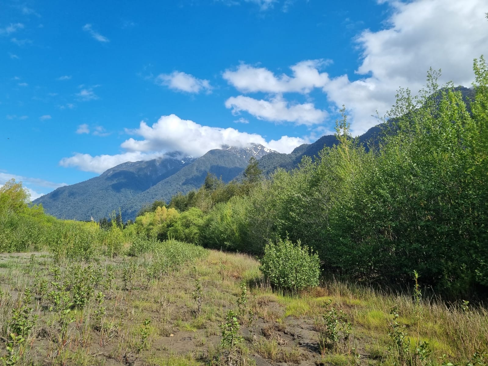 Campo en venta en Puerto Varas — foto 2