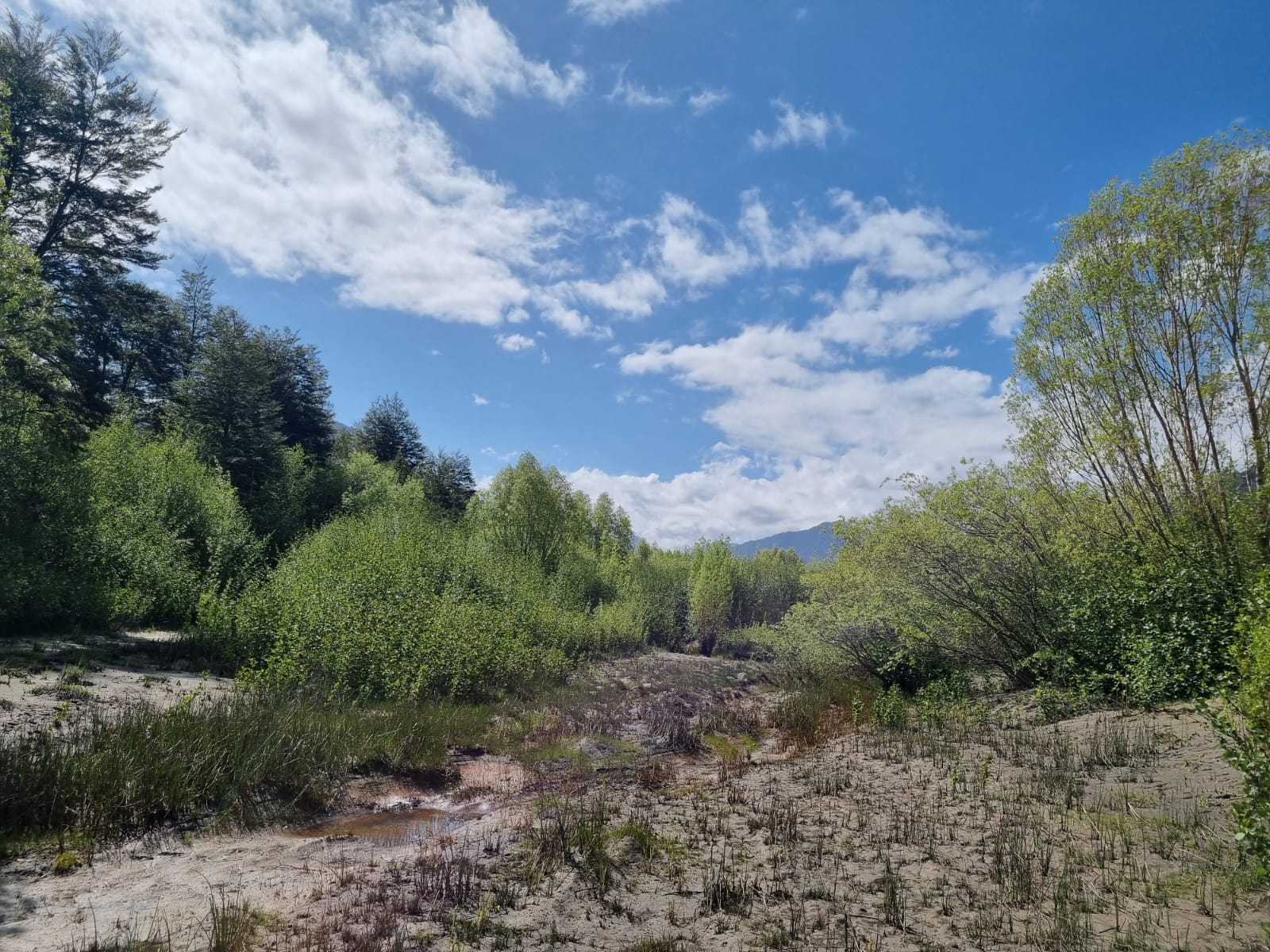 Campo en venta en Puerto Varas — foto 3