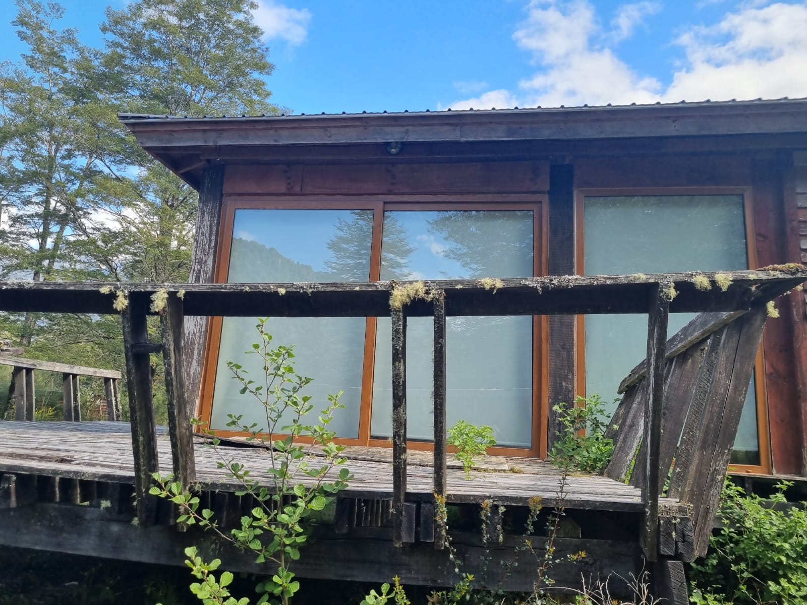 Campo en venta en Puerto Varas — foto 6