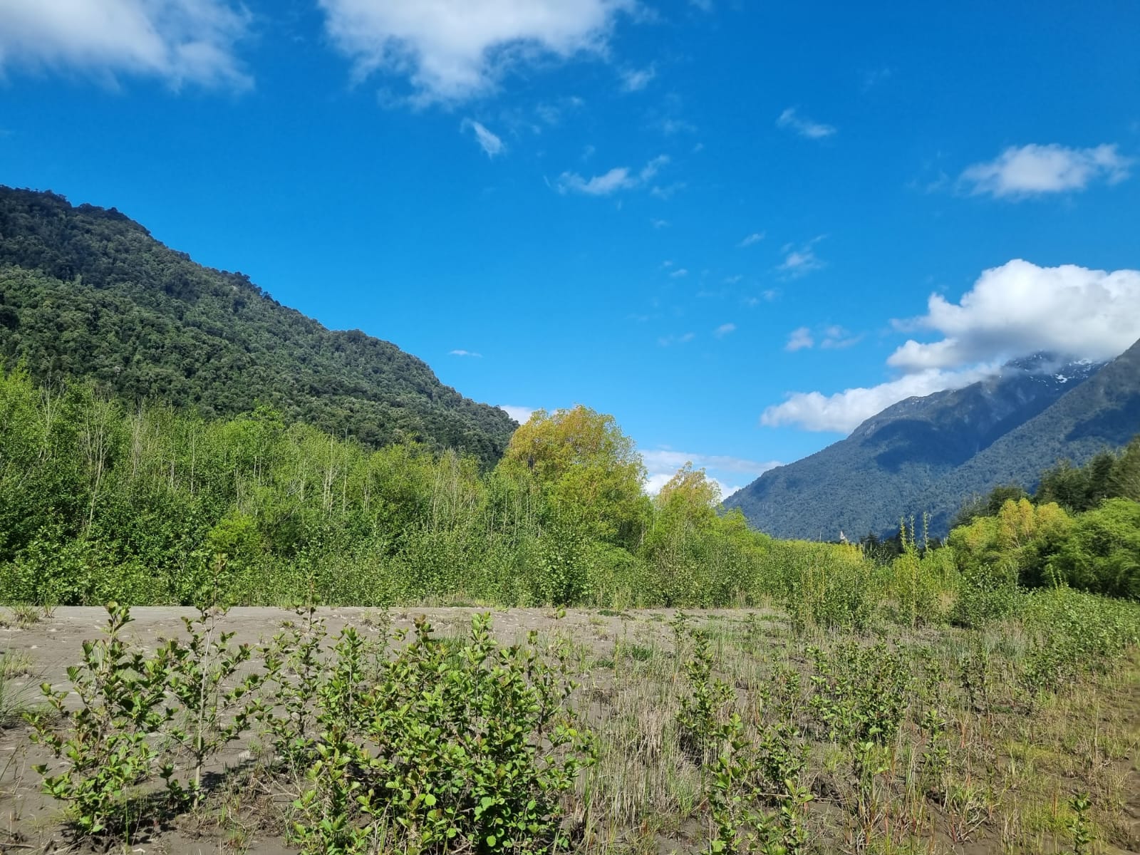 Campo en venta en Puerto Varas — foto 9