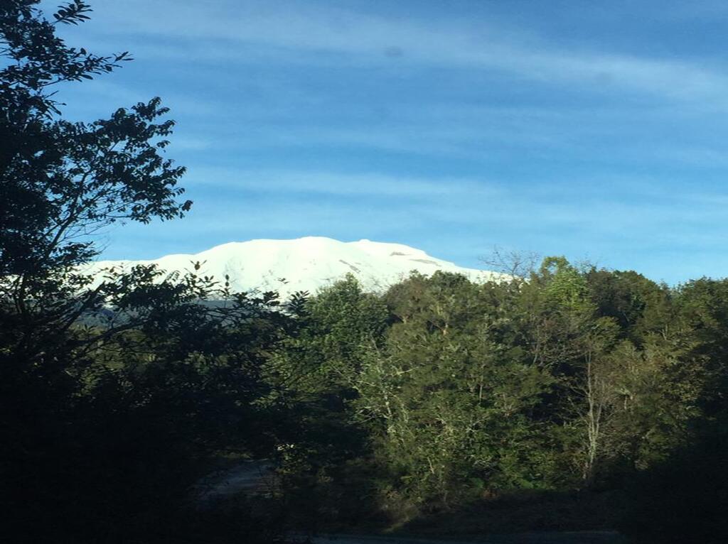 Campo en venta en Puerto Varas — foto 3