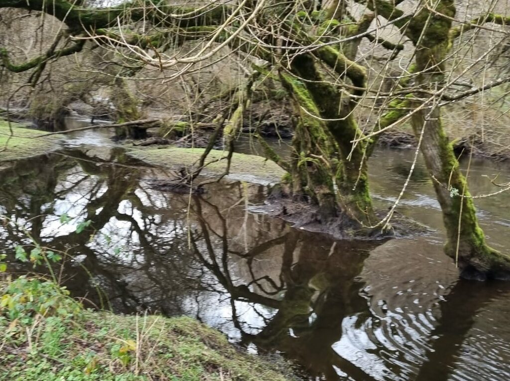 Campo en venta en Río Negro — foto 1