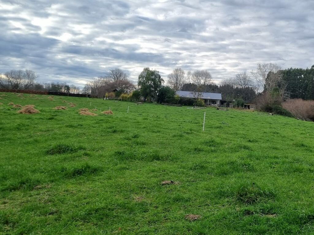 Campo en venta en Río Negro — foto 4