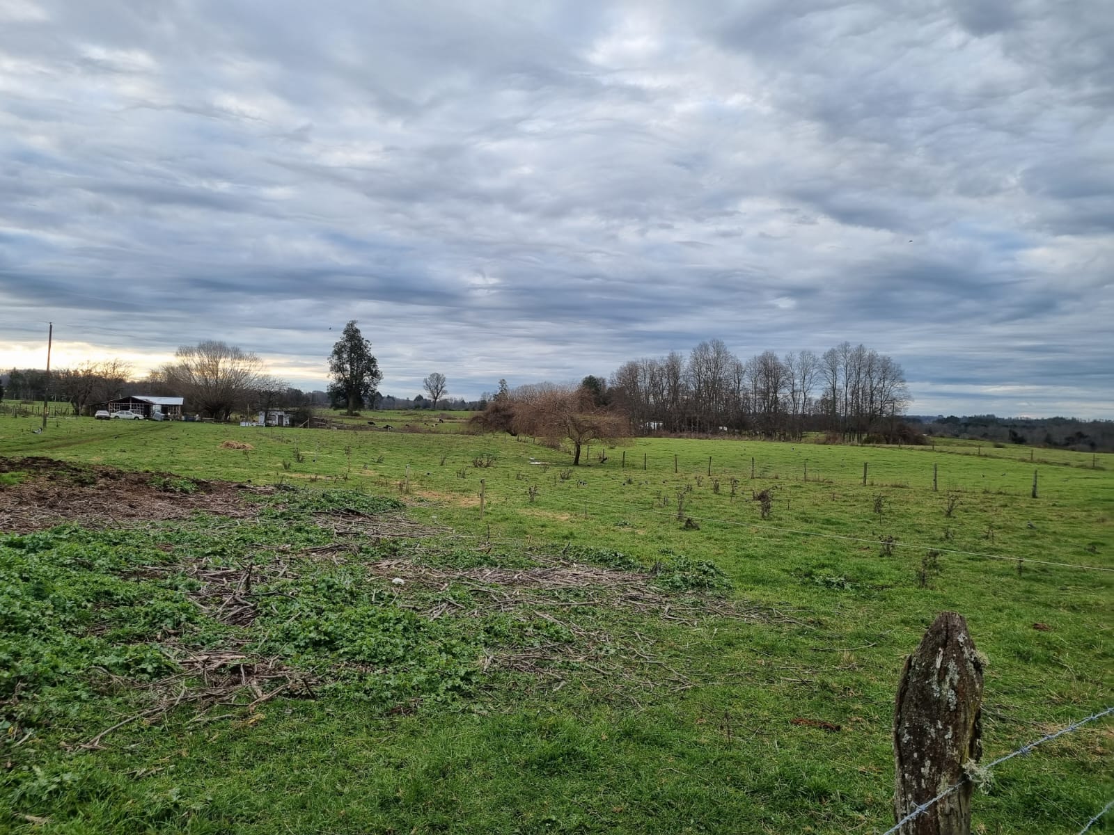 Campo en venta en Río Negro — foto 6