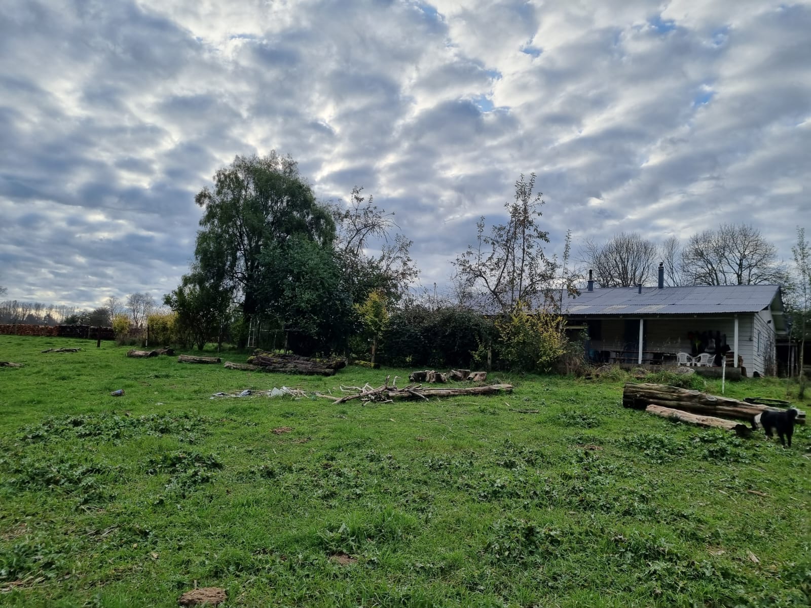 Campo en venta en Río Negro — foto 7