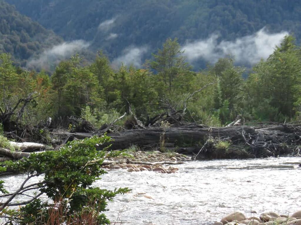 Parcela en venta en Aysén — foto 7
