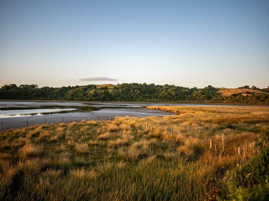 Campo en venta en Queilén — foto 5