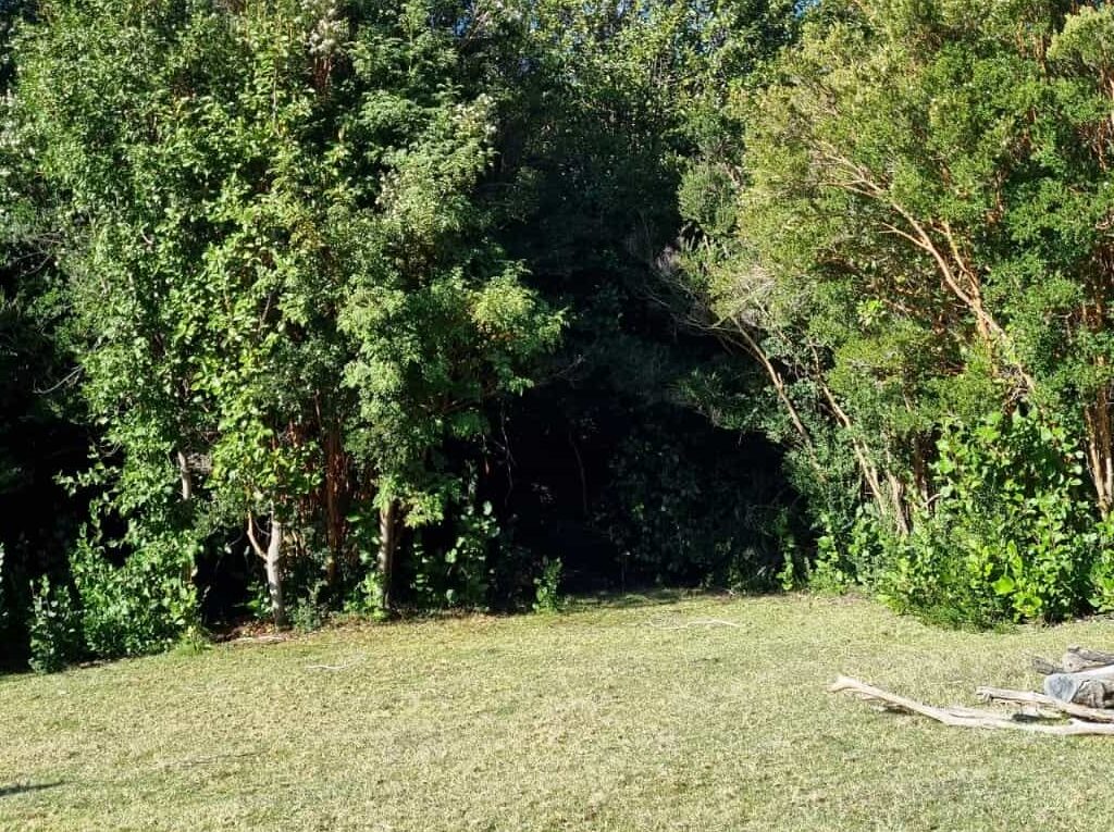 Campo en venta en Queilén — foto 7