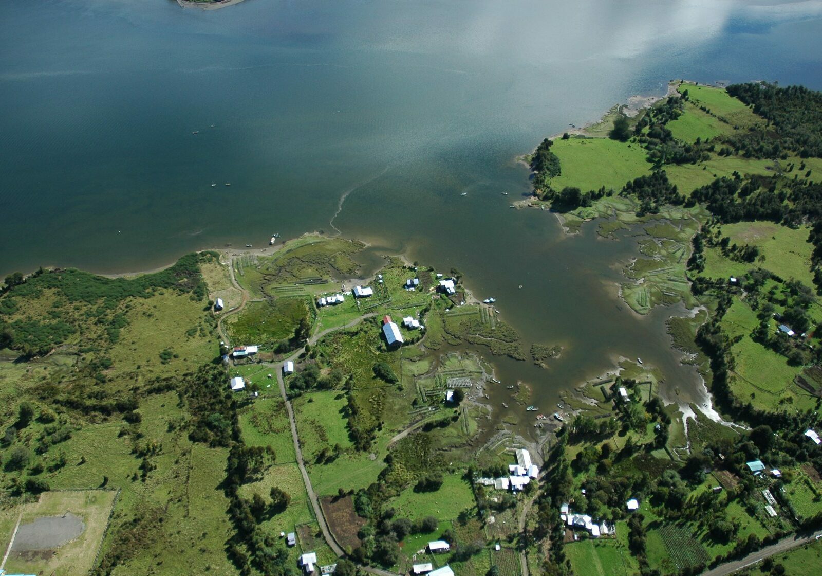 Campo en venta en Queilén — foto 8