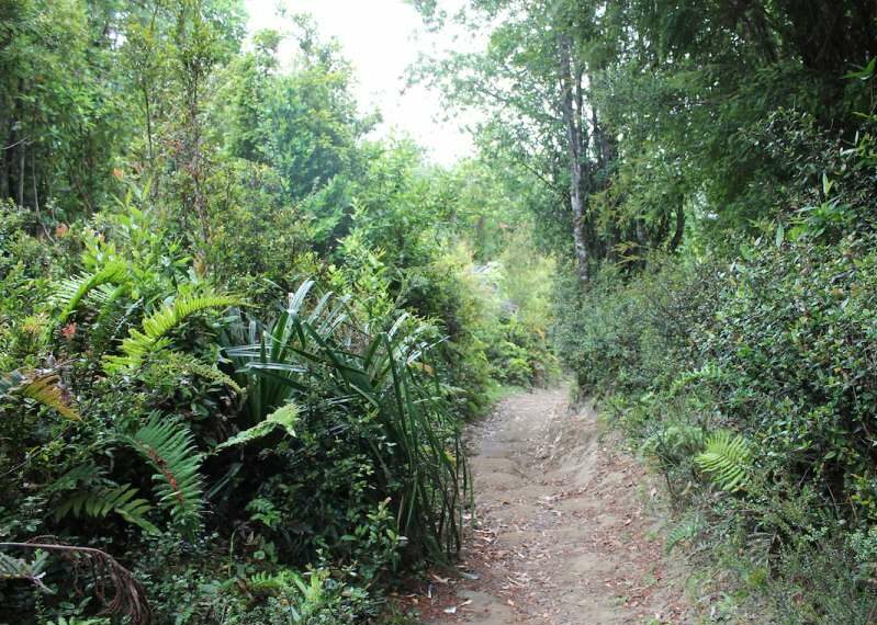Campo en venta en Queilén — foto 9