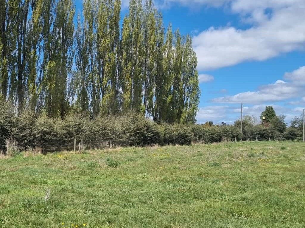Parcela en venta en Puerto Varas — foto 7