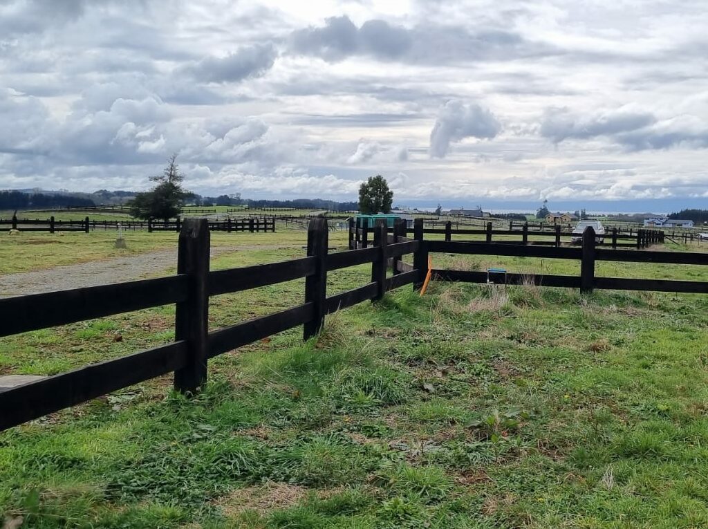 Parcela en venta en Llanquihue — foto 7