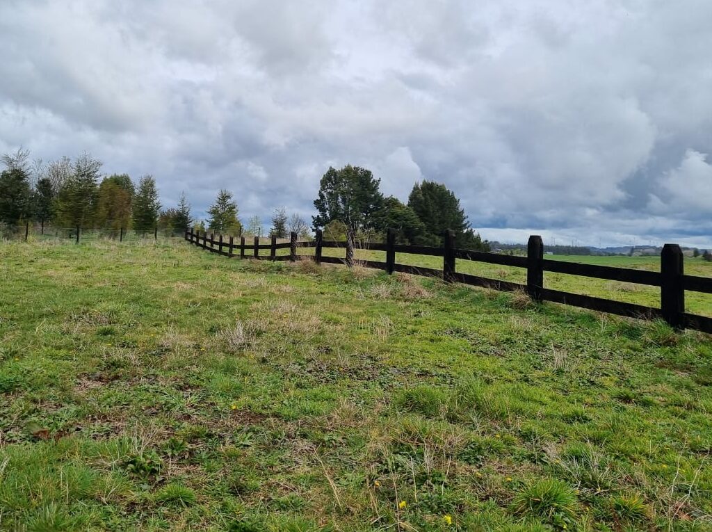 Parcela en venta en Llanquihue — foto 8