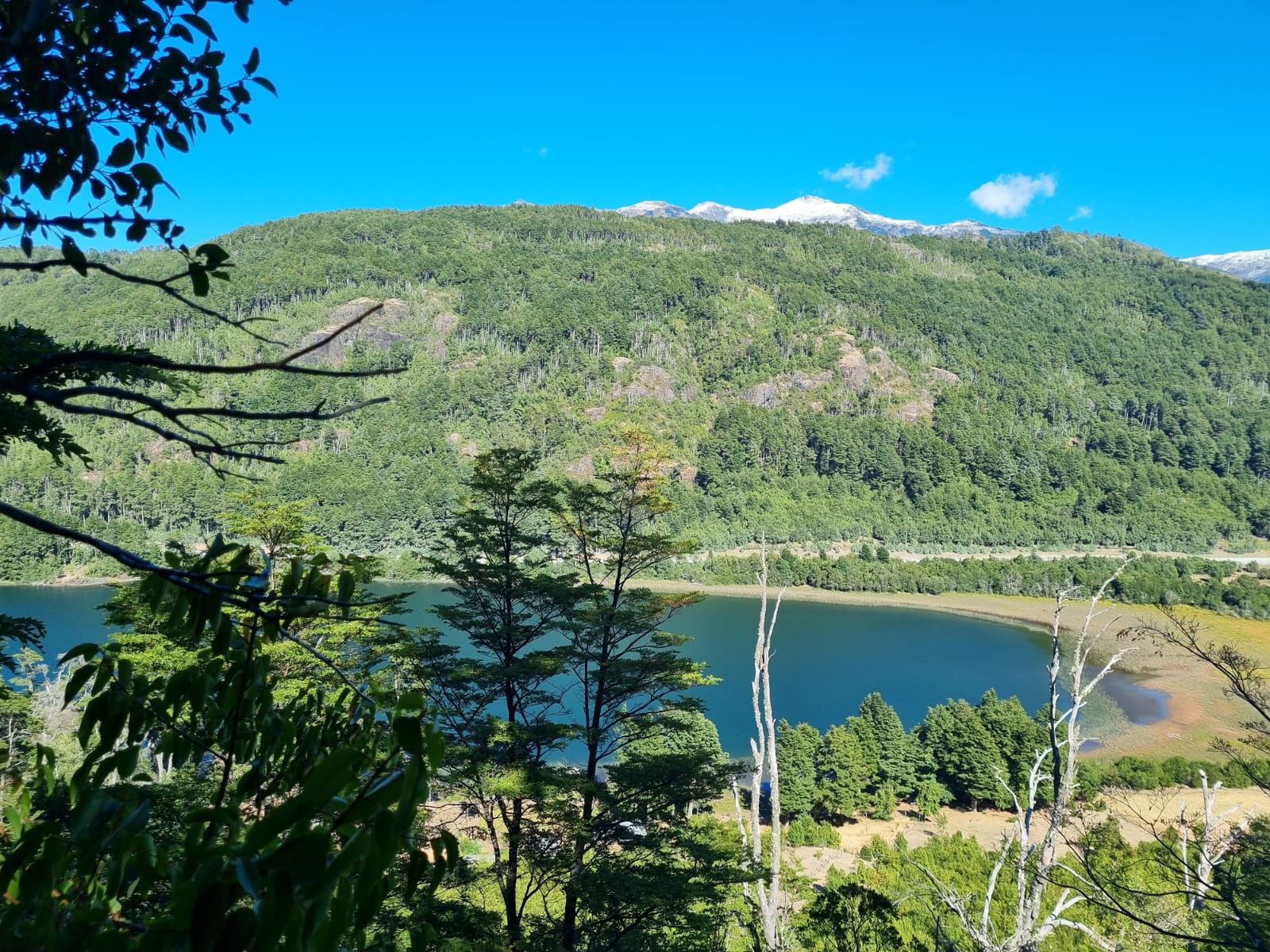 Parcela en venta en Cochamó — foto 2