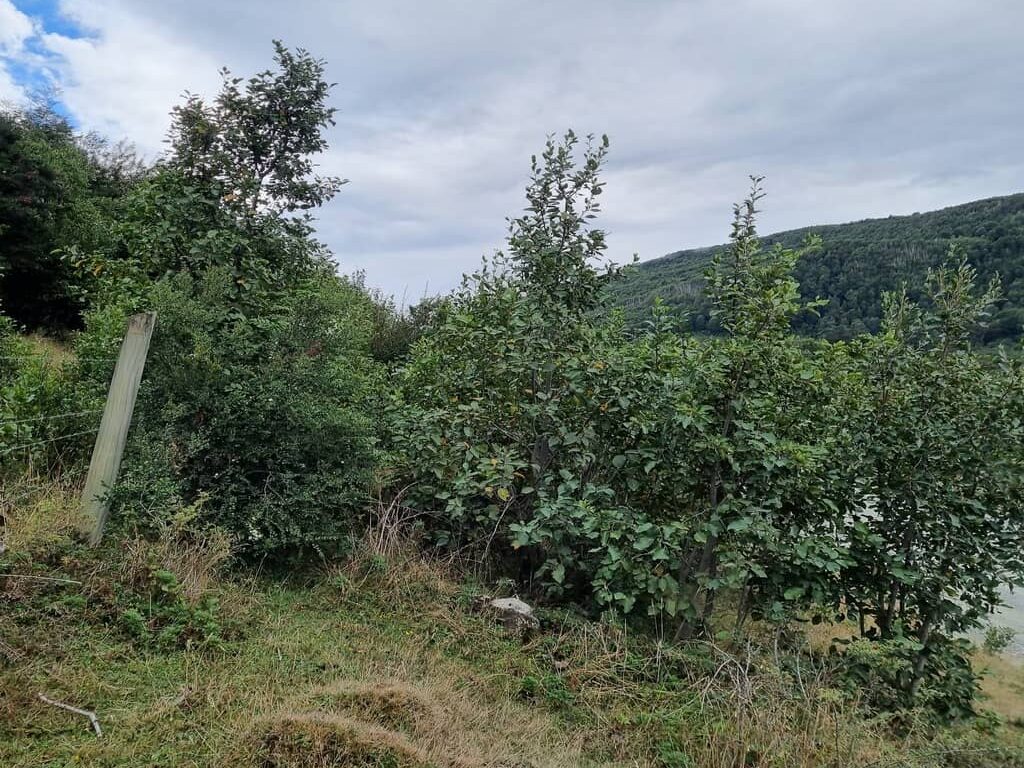 Parcela en venta en Cochamó — foto 5