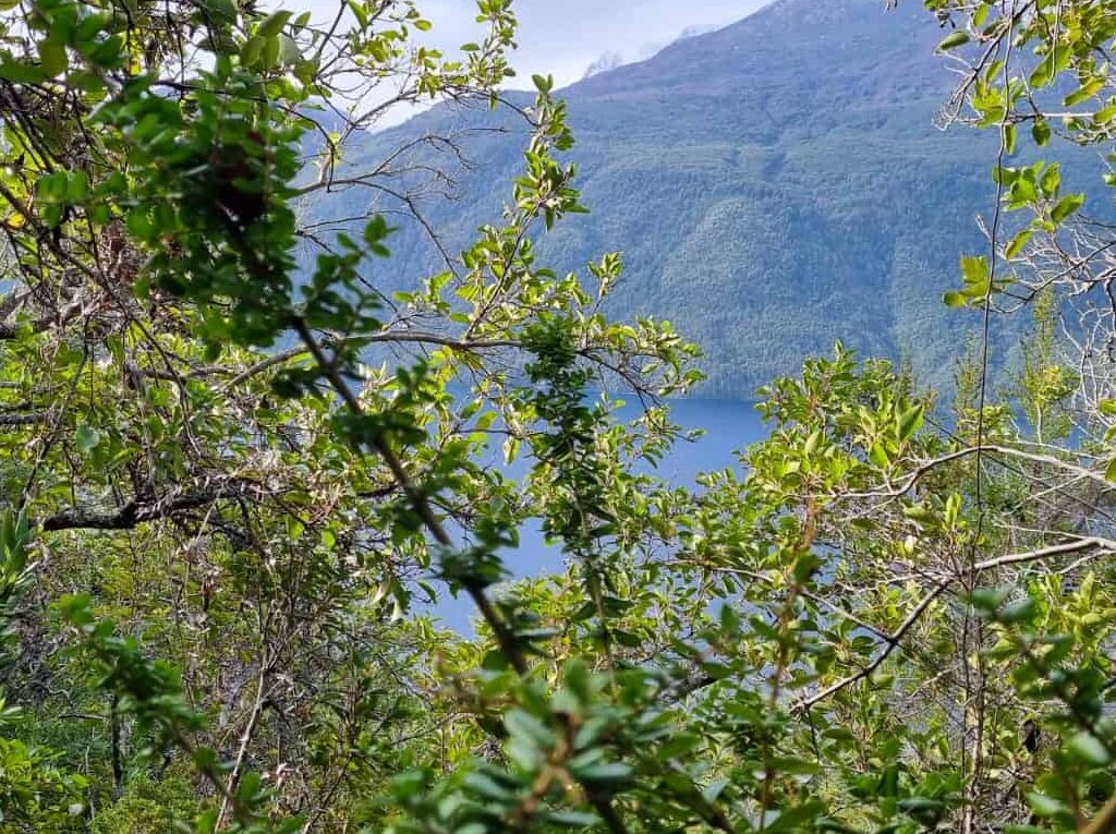 Parcela en venta en Cochamó — foto 7