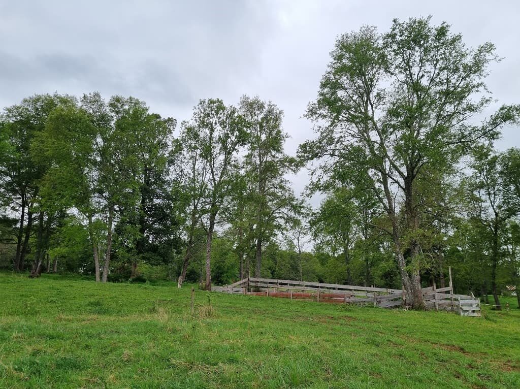 Campo en venta en Río Negro — foto 2