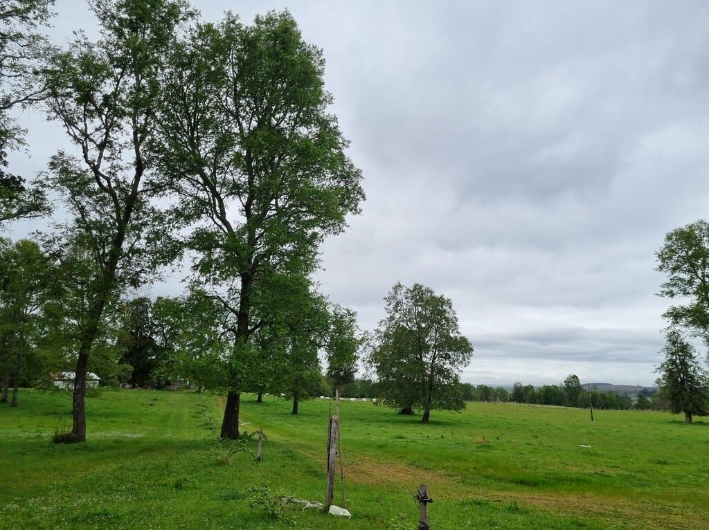 Campo en venta en Río Negro — foto 7