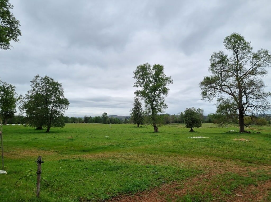 Campo en venta en Río Negro — foto 8