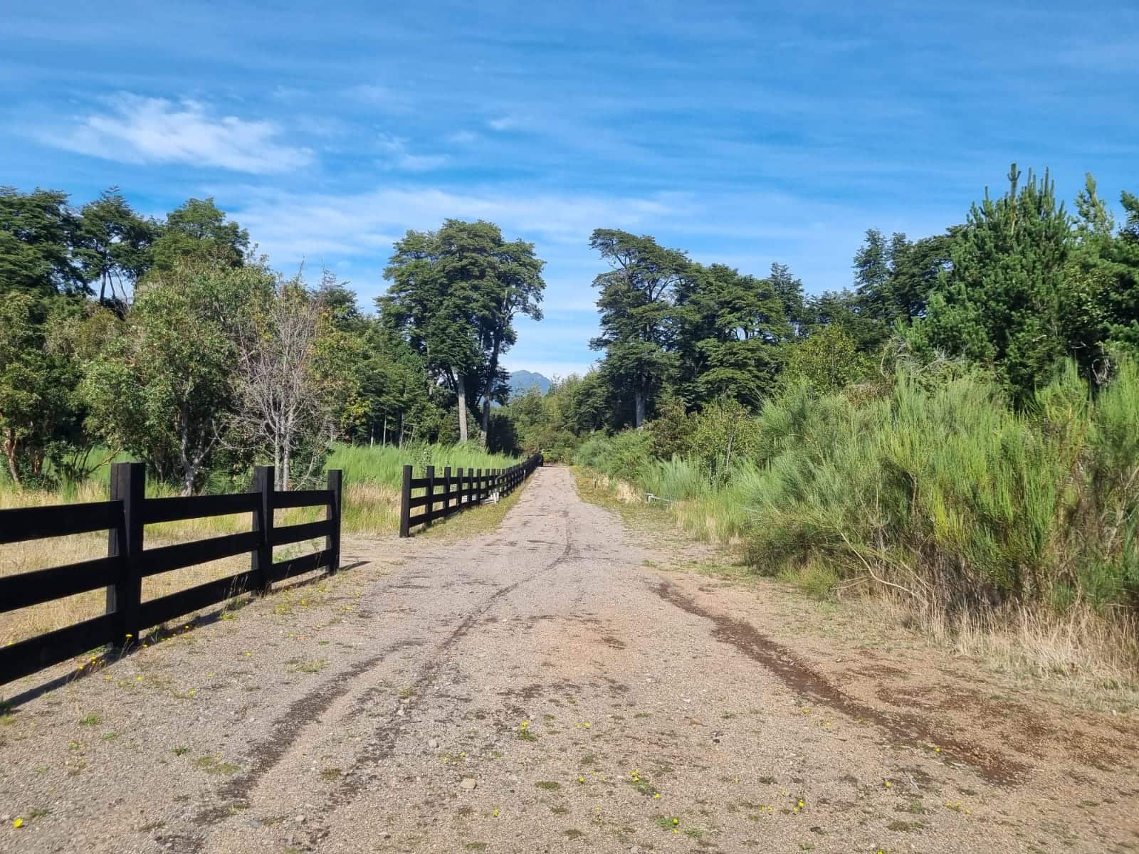 Parcela en venta en Puerto Varas — foto 3
