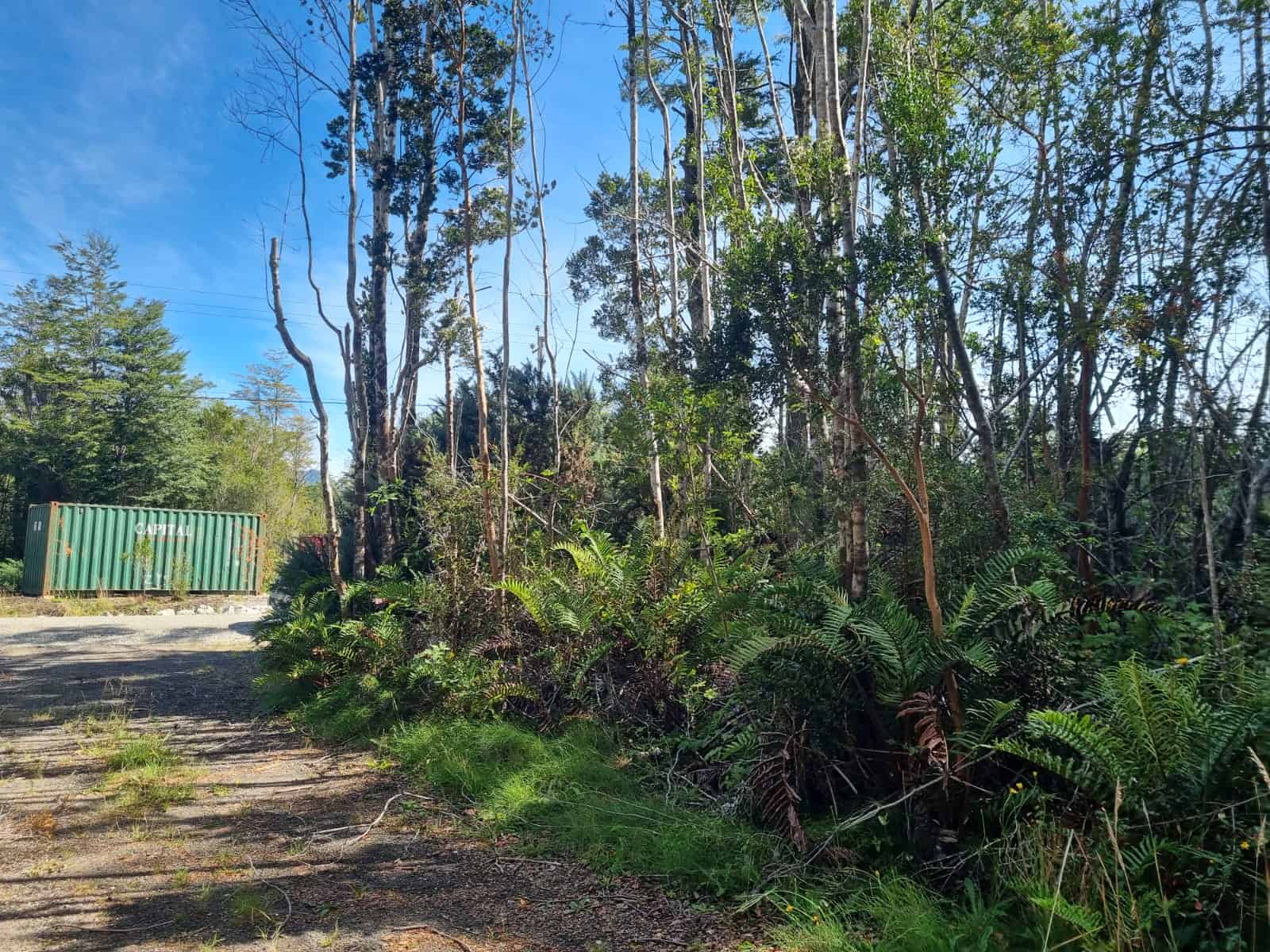 Parcela en venta en Puerto Varas — foto 7