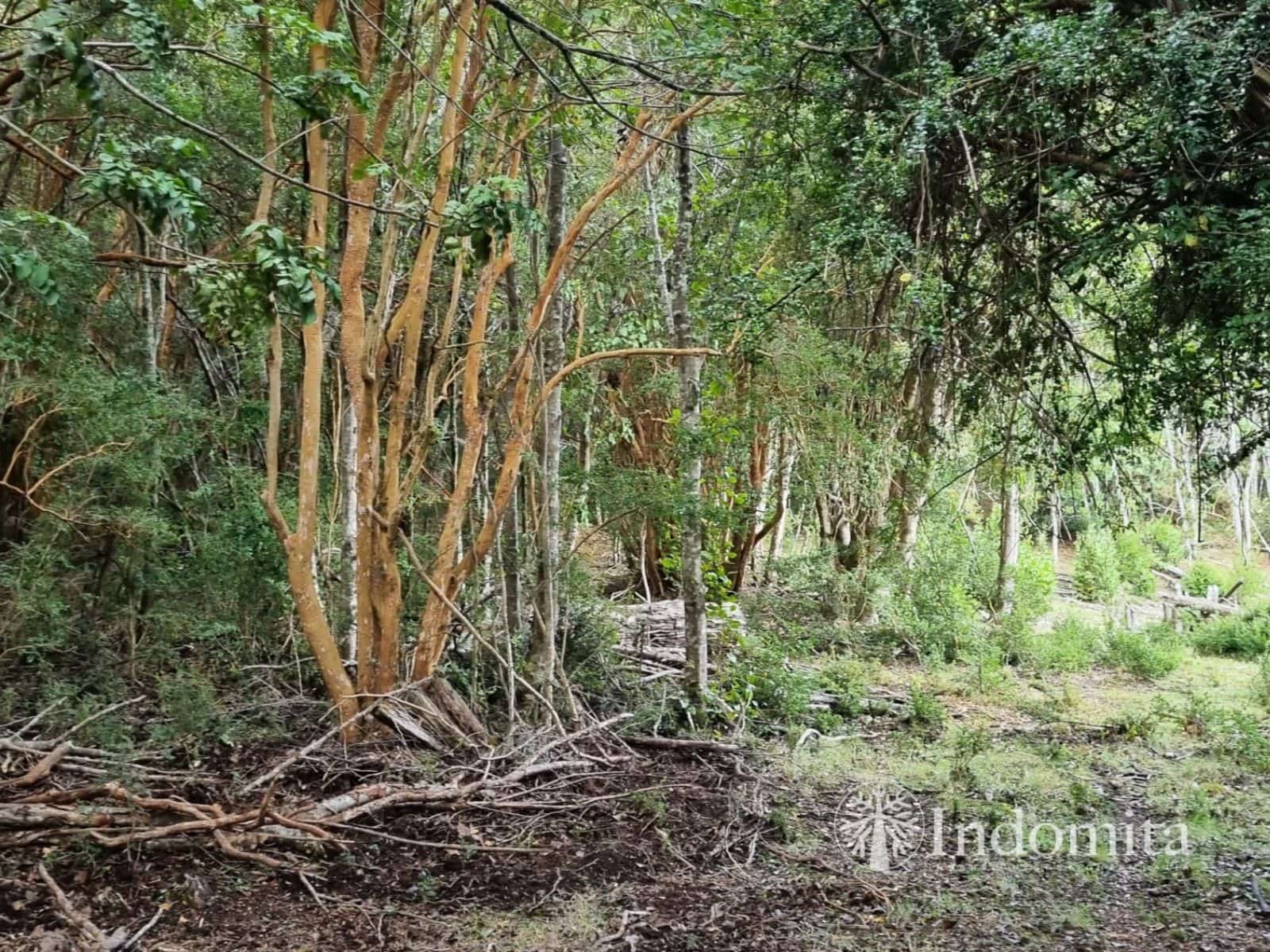 Parcela en venta en Cochamó — foto 2