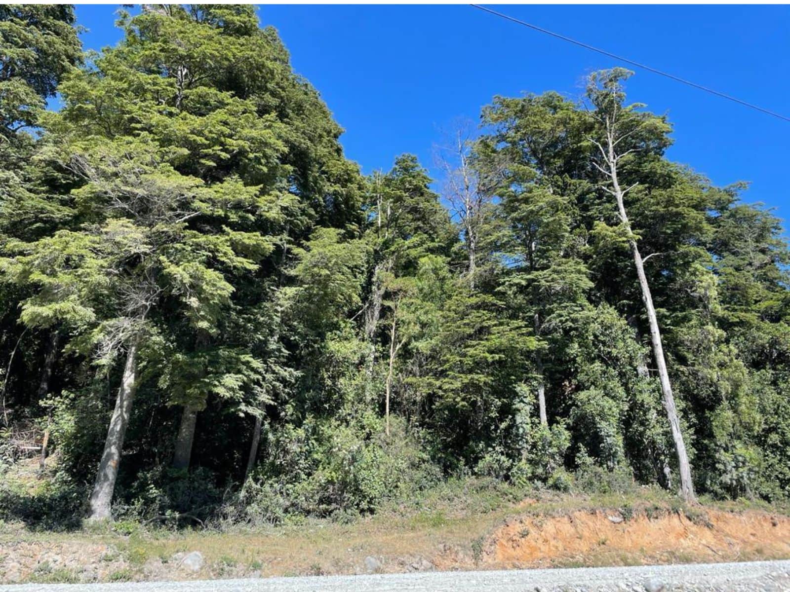 Parcela en venta en Cochamó — foto 5