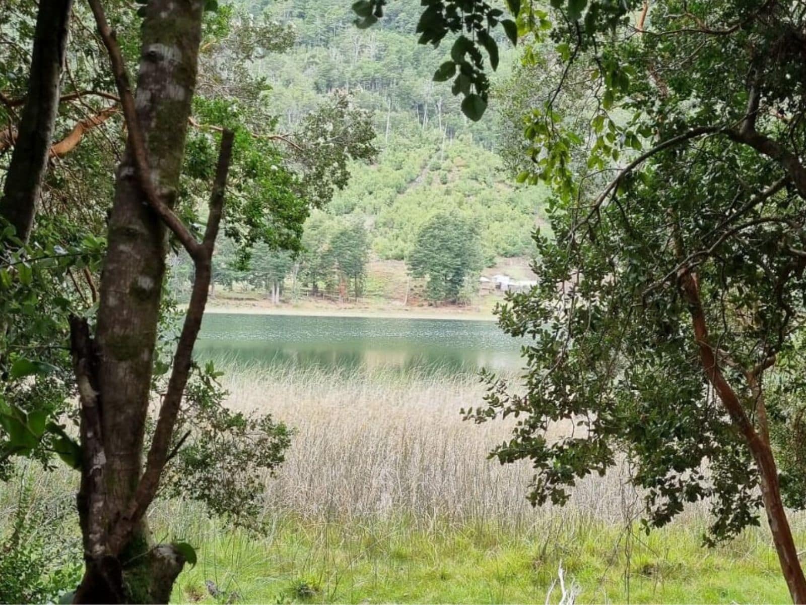 Parcela en venta en Cochamó — foto 8