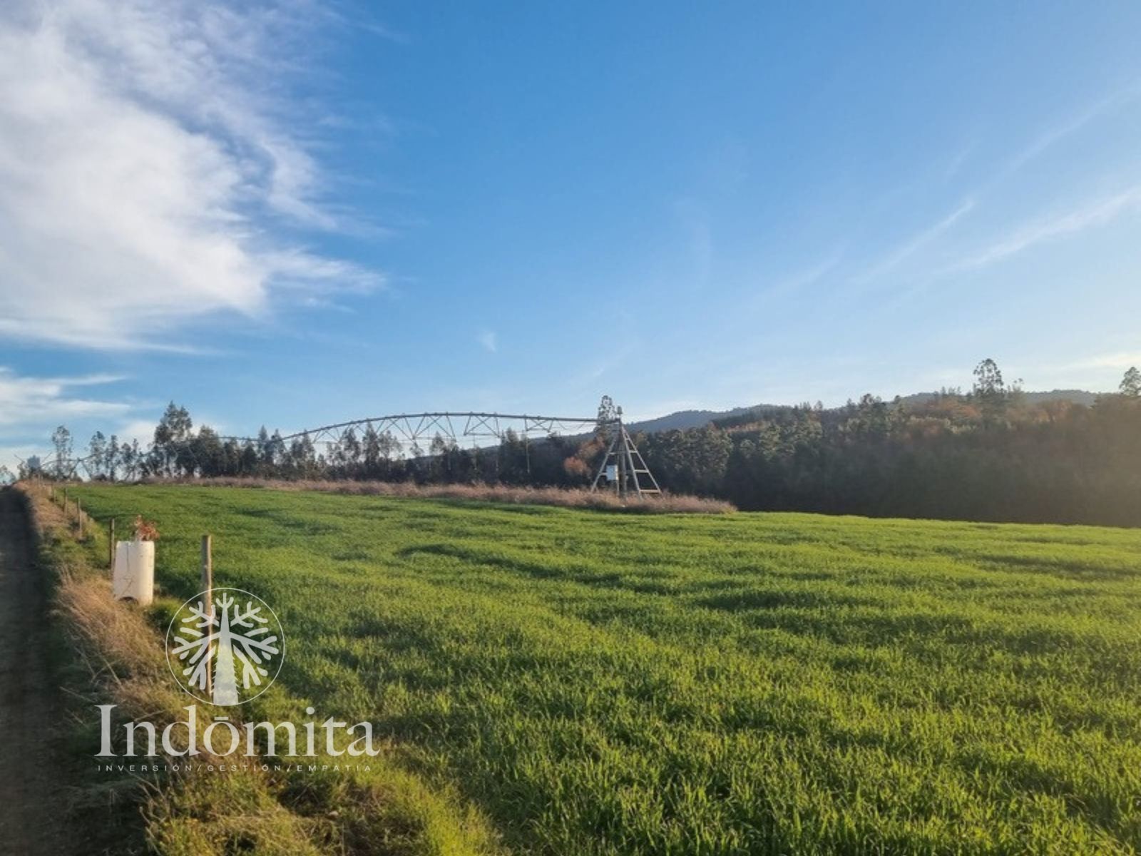 Campo en venta en Purranque — foto 1