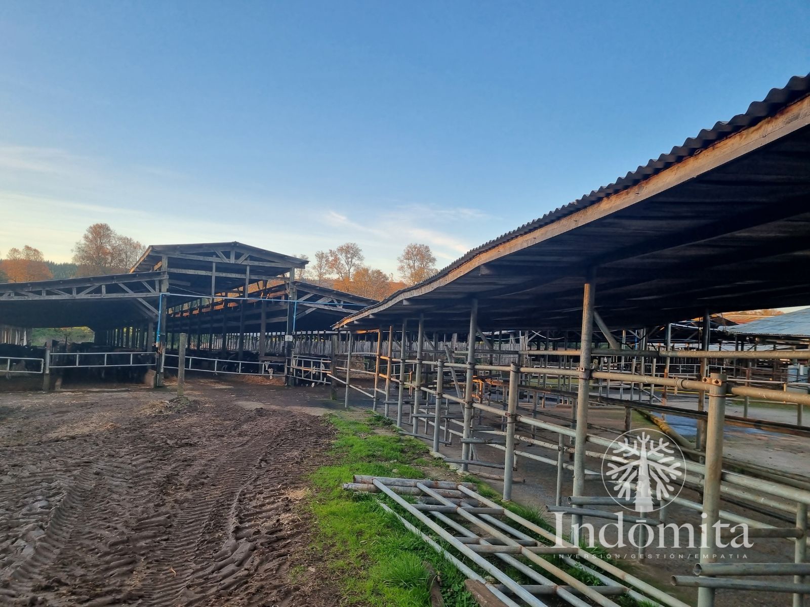 Campo en venta en Purranque — foto 5